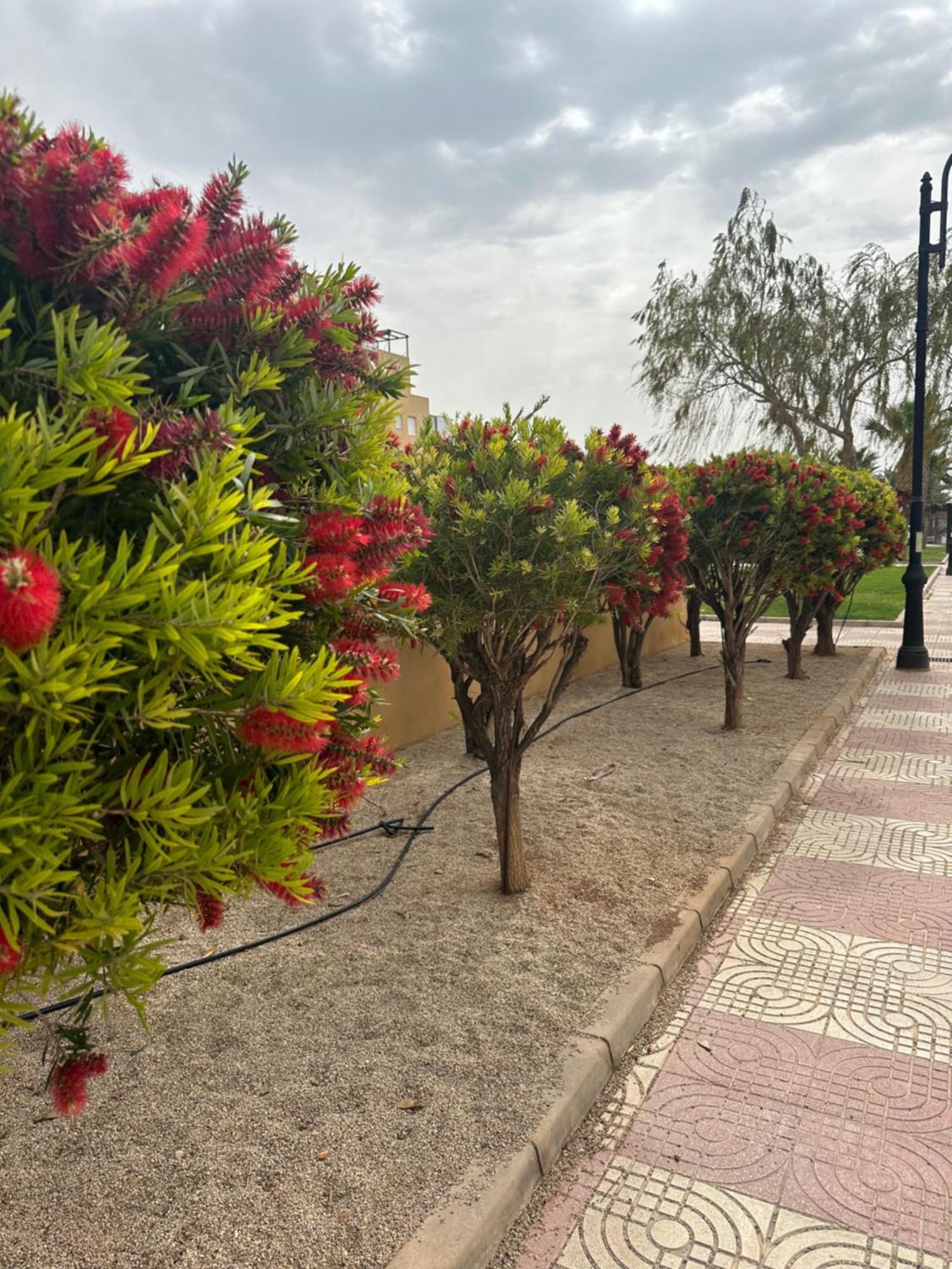 Aguadulce Sol Y Playa- A/C Apartment Рокетас де Мар Екстериор снимка